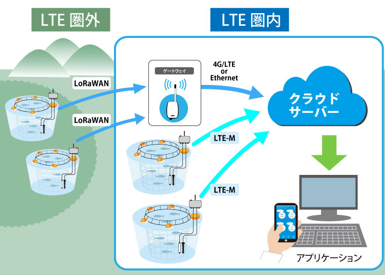 LoRa遠隔水質管理システム