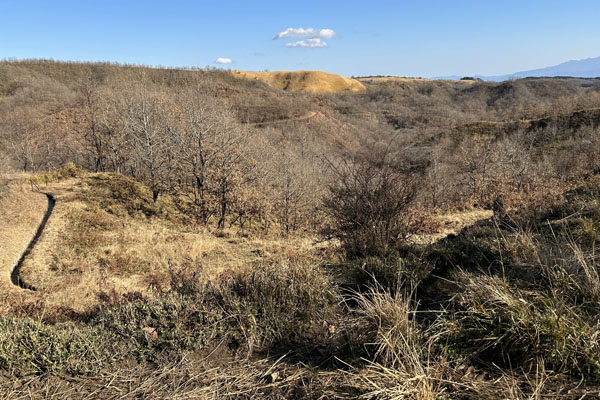 うしみる導入事例インタビュー