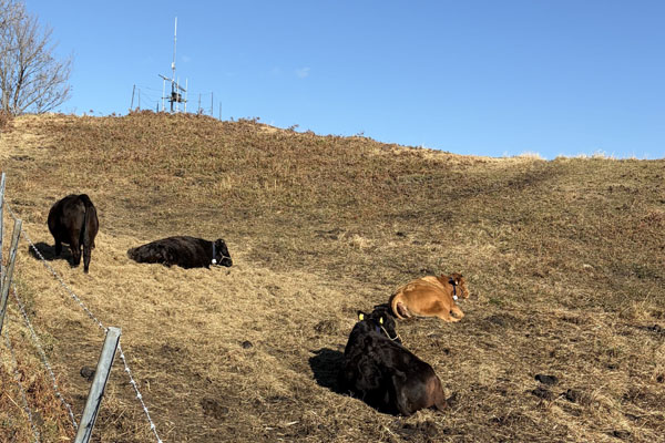 西原牧野組合様サムネイル