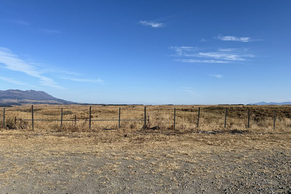 うしみる導入事例インタビュー