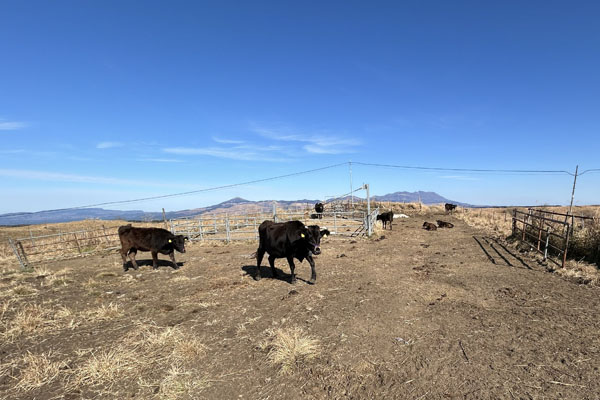 山田西部牧野組合様サムネイル