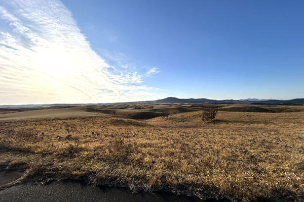 うしみる導入事例インタビュー