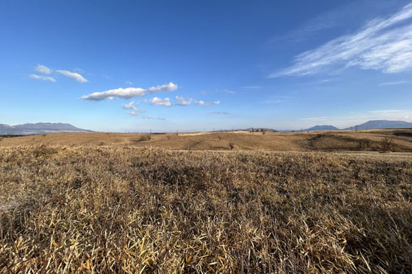 農事組合法人湯浦牧場様サムネイル