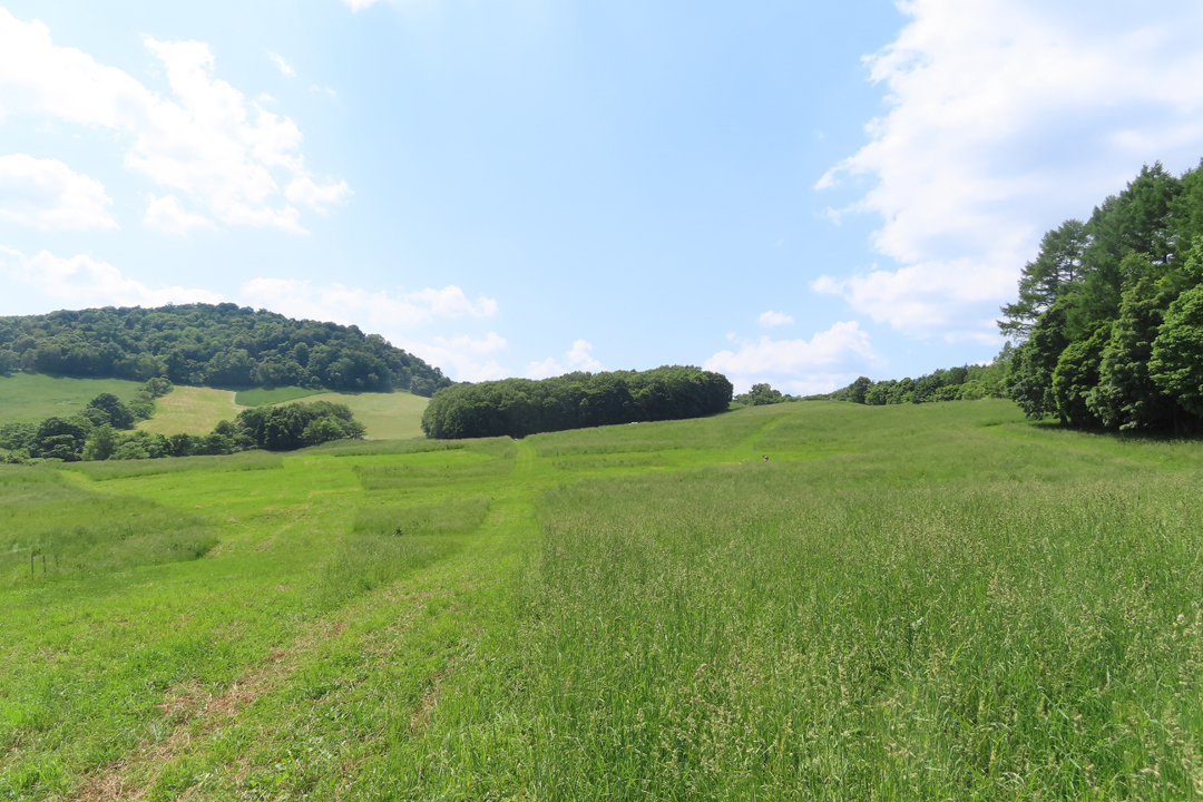 うしみる導入事例インタビュー