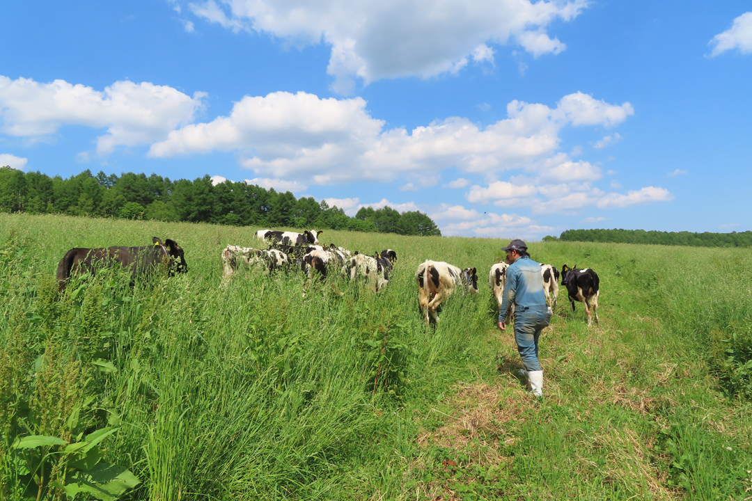 うしみる導入事例インタビュー