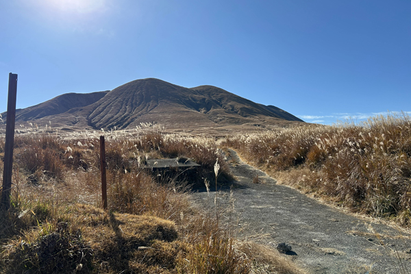 うしみる導入事例インタビュー