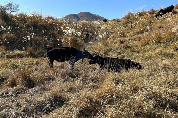 農事組合法人黒川牧野組合様サムネイル