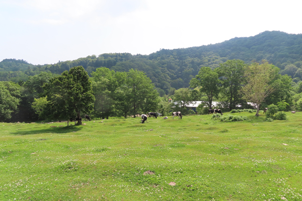 うしみる導入事例インタビュー