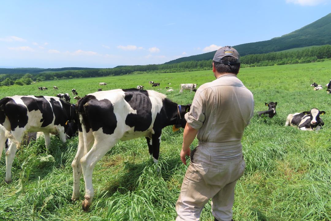 うしみる導入事例インタビュー