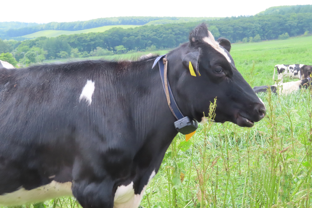 うしみる導入事例インタビュー
