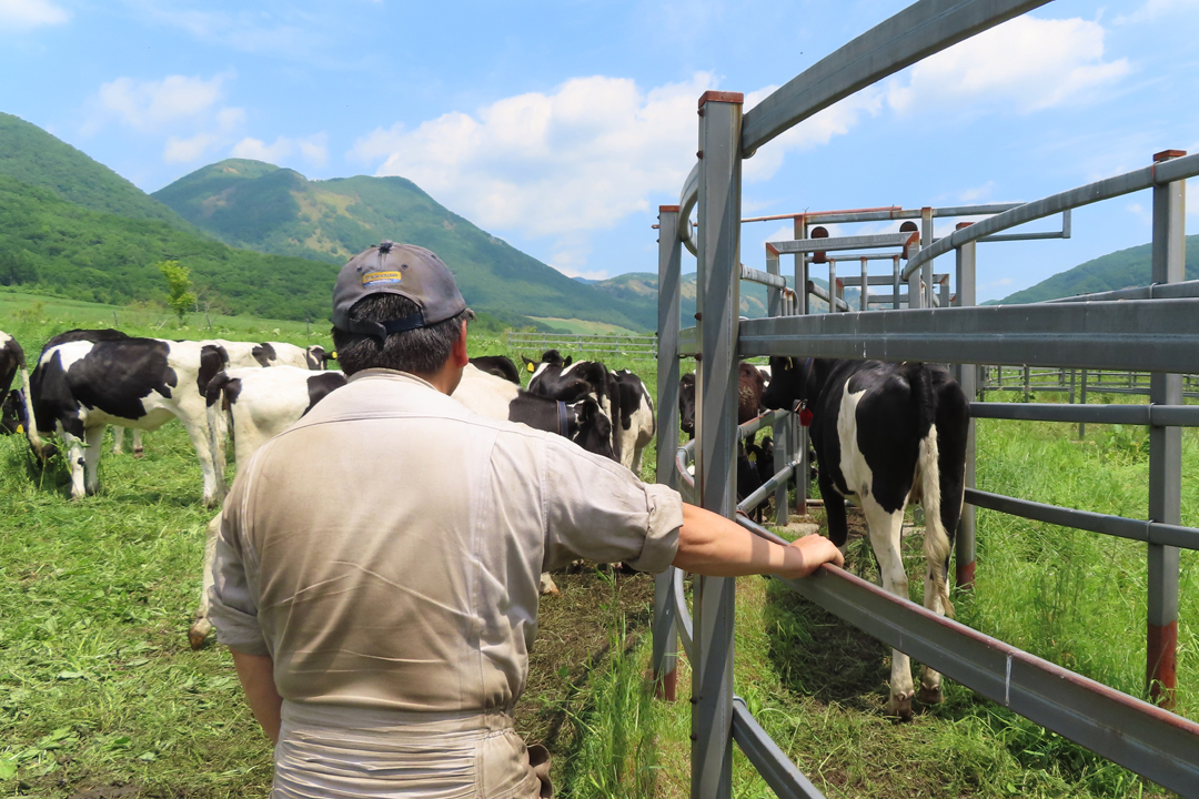 うしみる導入事例インタビュー