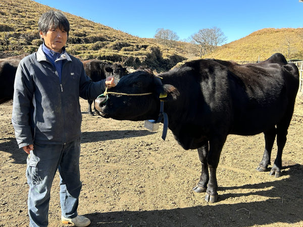 うしみる導入事例インタビュー
