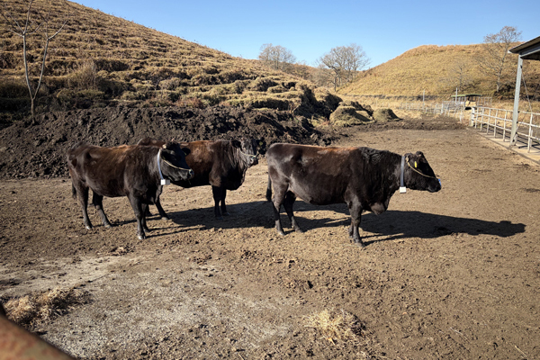 下平川牧野組合様サムネイル