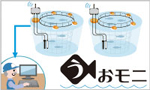 陸上養殖池水質管理システム「うおモニ」