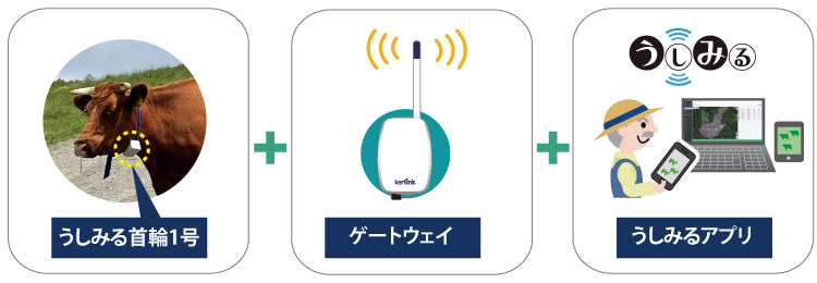 「うしみる」レンタルプラン2025