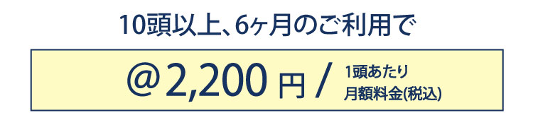 10頭以上、6ヶ月のご利用で2,200円/頭