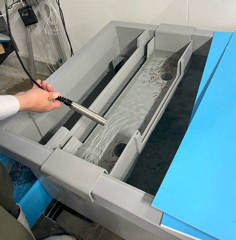 浮上孵化槽とAQUALABO溶存酸素センサー